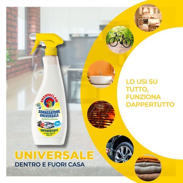 Chanteclair Sgrassatore Universale Універсальний знежирювач Лимон Запаска 600 мл 970837 фото